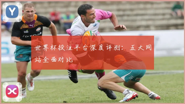 世界杯投注平台深度评测:五大网站全面对比