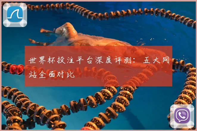 世界杯投注平台深度评测:五大网站全面对比