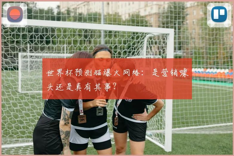 世界杯预测猫爆火网络：是营销噱头还是真有其事？