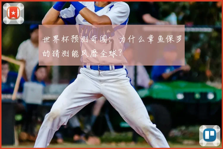 世界杯预测奇闻：为什么章鱼保罗的猜测能风靡全球？