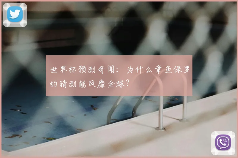 世界杯预测奇闻：为什么章鱼保罗的猜测能风靡全球？