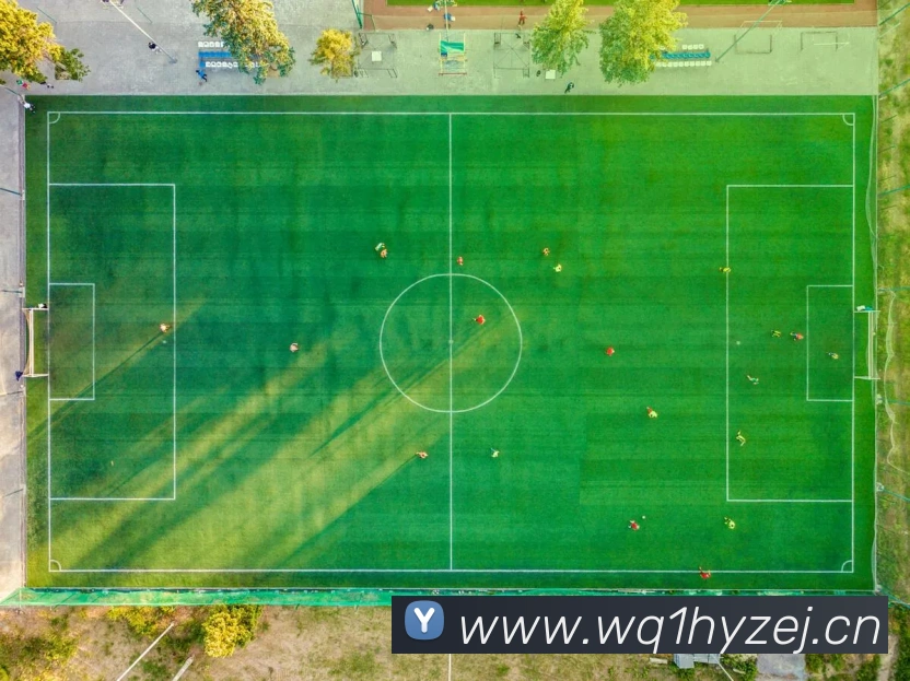 多媒体互动体验